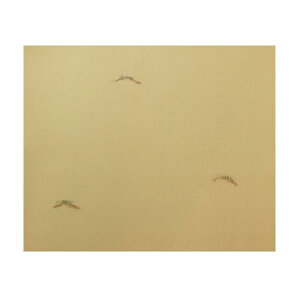 Տp Kp  20 295×363mm ȌÕMՏp wp pi 历x