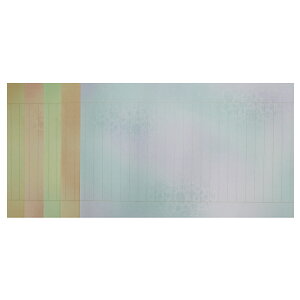 ʌop ԋk 5FZbg 10 wʌopi Ȃ ʎSo pi ʌoxAK63