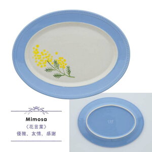 v[g M Florist t[Xg Rose [Y Mimosa ~U Blue star u[X^[ zCg u[ CG[  ԕ H@Ή H dqWΉ M z e[uEFA k CDF