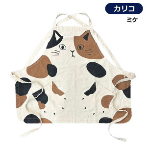 Gv V[g ˂ L  ۈm JtF Lb` 킢 s[X ̓ fB[X Y 傫TCY Vv l y   JtFGv  Rbg v[