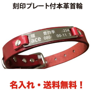 ybgpi    v[g ꖳ {v  ybg^O D qD 񖼎D hbO^O ybgANZT[ jbPhyyMt_zyyMt_