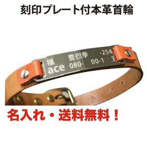 ybgpi    v[g ꖳ {v  ybg^O D qD 񖼎D hbO^O ybgANZT[ jbPhyyMt_zyyMt_