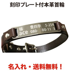 ybgpi    v[g ꖳ {v  ybg^O D qD 񖼎D hbO^O ybgANZT[ jbPhyyMt_zyyMt_