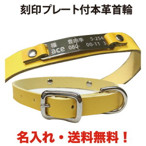 ybgpi    v[g ꖳ {v  ybg^O D qD 񖼎D hbO^O ybgANZT[ jbPhyyMt_zyyMt_