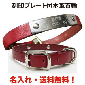 犬用首輪 リード ハーネス ドッグタグの人気商品 通販 価格比較 価格 Com 犬用首輪 リード ハーネス ドッグタグの人気商品 通販 価格比較 価格 Com