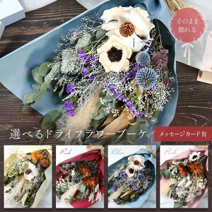 hCt[ u[P bZ[WJ[h L EFfBO ԑ XbO  I u[P EFfBO o^Cf[ LO a 蕨 j ̓