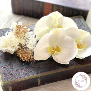 Ӓ l  hCt[ S[h   vU[uht[     U  OB a m wbhhX EFfBO C wbhp[c Ԃ񂴂 