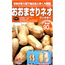 【新種】おおまさりネオ 約35粒 落花生 種 渡辺農事 家庭菜園 オオマサリネオ らっかせい