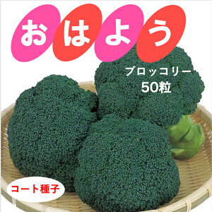 yL2026N9zubR[  ͂悤 yR[g 50z  v ƒ؉ TJ^̃^l ƒ؉ ؂̎ ؉  v^[͔| x_؉ v^[؉ ƒ؉