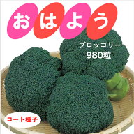 【有効期限2027年5月末】ブロッコリー 種 おはよう 【コート 980粒】 種 プロ向け 家庭菜園 サカタのタネ…
