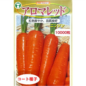 アロマレッド ニンジン コート 10000粒 種 野菜 プロ向け 家庭菜園 農家 セレクト トーホク にんじん 人参