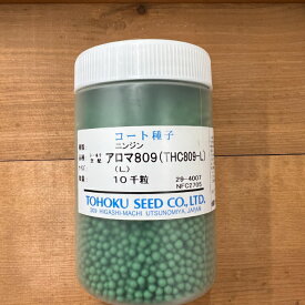ニンジン 種 アロマ809 コート 10000粒 種 トーホク 種 野菜 アロマレッド プロ向け 農家 セレクト にんじん 人参 ペレット 種 苗 野菜 タネ プロ向け 家庭菜園 たね 畑 種まき おいしい 畑仕事 送料無料 自然栽培野菜 種子 サラダ 野菜種子 キット 野菜種 収量安定 尻詰まり
