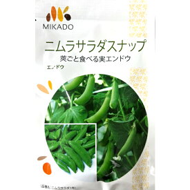 スナップエンドウ 種 ニムラサラダスナップ ミカド 家庭菜園 プロ向け 初心者 極早生 冬 タネ 野菜 農家 セレクト たね 野菜の種 菜園 畑 プランター栽培 ベランダ菜園 プランター菜園 家庭菜園初心者 園芸初心者 簡単栽培 野菜作り 自家栽培 露地栽培 ハウス栽培 地植え