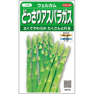 アスパラガス 種 ウェルカム 20ml 1dl 実咲 小袋 大袋 営利用 サカタ の タネ 野菜 プロ向け 家庭菜園 農…