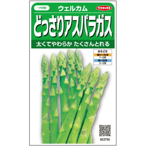 AXpKX  EFJ 20ml 1dl    cp TJ^  ^l  v ƒ؉ _ ZNg 