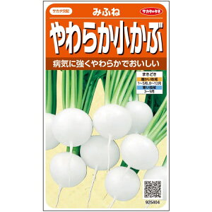 カブ 種 蕪 みふね サカタ の タネ 家庭菜園 プロ向け 大袋 小袋 農家 セレクト かぶ