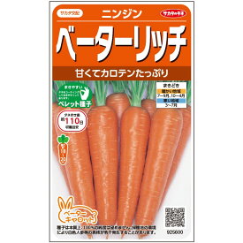 ニンジン 種 ベーターリッチ ペレット種子 ペレット 1万粒 サカタ の タネ 種 野菜 プロ向け 農家 セレクト にんじん 人参 ペレット 種 苗 野菜 タネ プロ向け 家庭菜園 たね 畑 種まき おいしい 畑仕事 送料無料 自然栽培野菜 種子 サラダ 野菜種子 キット 野菜種