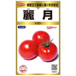 �g�}�g �� �팎 ��� �y1000���z �T�J�^ ��c �c���p ���� ��� �^�l �v������ �ƒ�؉� �_�� �Z���N�g ���� �g�}�g �� �� �g�}�g�̎� �Â� �i�� ��؎� �������� �؉� �ƒ�؉��g�}�g ���R�͔|