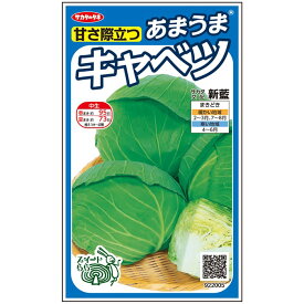 キャベツ 種 新藍 寒玉 実咲 小袋 2000粒 5000粒 大袋 営利用 サカタ の タネ 野菜 プロ向け 家庭菜園 農家 セレクト たね