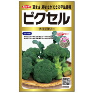 ブロッコリー 種 ピクセル サカタ の タネ 家庭菜園 野菜の種 菜園 畑 プランター栽培 ベランダ菜園 プラ…