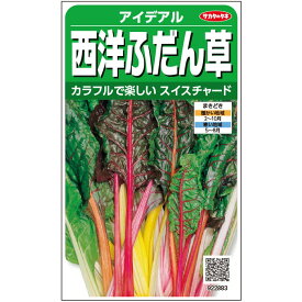 スイスチャード 種 アイデアル 西洋ふだん草 実咲 小袋 20ml 大袋 営利用 サカタ の タネ 野菜 プロ向け 家庭菜園 農家 セレクト たね