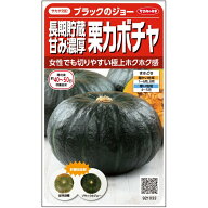 カボチャ 種 ブラックのジョー 【100粒】 大袋 営利用 サカタ の タネ 野菜 プロ向け 家庭菜園 農家 セレ…