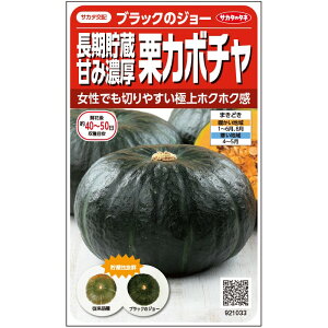 J{`  ubÑW[ y500z  cp TJ^  ^l  v ƒ؉ _ ZNg   ڂ̎ d R͔|  ubN W[ ubN