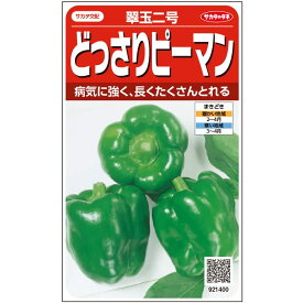 ピーマン 種 翠玉二号 サカタ の タネ 家庭菜園 野菜の種 菜園 畑 プランター栽培 ベランダ菜園 プランター菜園 家庭菜園初心者 園芸初心者 簡単栽培 野菜作り 自家栽培 露地栽培 ハウス栽培 地植え 鉢植え 種まき 家庭用 園芸用 無農薬栽培 有機栽培