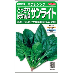 �z�E�����\�E �� �T�����C�g ���� ���� 1dl 1L ��� �c���p �ق���� �T�J�^ �� �^�l ��� �v������ �ƒ�؉� �_�� �Z���N�g ����