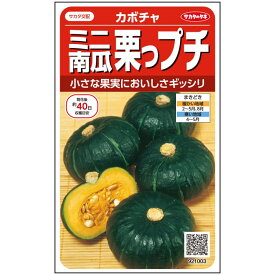 ミニ カボチャ 種 栗っプチ 【100粒】 大袋 サカタのタネ 家庭菜園 野菜の種 菜園 畑 プランター栽培 ベランダ菜園 初心者 園芸初心者 簡単栽培 野菜作り 自家栽培 自給自足 露地栽培 ハウス栽培 地植え 鉢植え 家庭用 園芸用 無農薬栽培 有機栽培 オーガニック プロ向け