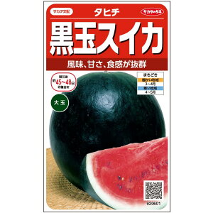  XCJ  ^q`    200  cp TJ^  ^l  v ƒ؉ _ ZNg 