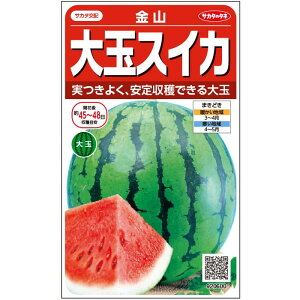 ��� �X�C�J �� ���R �T�J�^�̃^�l ������ �ƒ�؉� �v������ �Â� ����̔� �X�C�J�ԐF �햳�� ��q �������� ���R�͔| �ʕ� �ØI �X�C�J�� �� �X�C�J�̎� �X�C�J�̕c ��ʂ����� ��ʃX�C�J