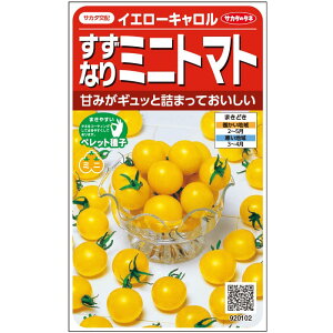 �~�j�g�}�g �� �C�G���[�L������ �T�J�^ ��c �c���p ���� ��� �^�l �v������ �ƒ�؉� �_�� �Z���N�g ���� �g�}�g �� �� �g�}�g�̎� �Â� �i�� ��؎� �������� �؉� �ƒ�؉��g�}�g ���R��