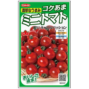 �~�j�g�}�g �� �L�������p�b�V���� �T�J�^ ��c �c���p ���� ��� �^�l �v������ �ƒ�؉� �_�� �Z���N�g ���� �g�}�g �� �� �g�}�g�̎� �Â� �i�� ��؎� �������� �؉� �ƒ�؉��g�}�g ���R