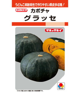 J{`  ObZ y100z  cp ^LC c ƒ؉ ؂̎ ؉  v^[͔| x_؉ S |S ȒP͔| ؍ ƍ͔|  In͔| nEX