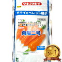 ニンジン 種 向陽二号 コート 10000粒 野菜 プロ向け 家庭菜園 農家 セレクト タキイ種苗 にんじん の 野菜種 人参 五…