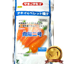 ニンジン 種 向陽二号 コート 10000粒 野菜 プロ向け 家庭菜園 農家 セレクト タキイ種苗 にんじん の 野菜種 人参 五寸 畑 キャロット たね 送料無料 種まき 種子 2 号 向陽2号コート コート種 10000 タキイ ペレット コーティング タネ プランター 自然栽培野菜 にんじん畑
