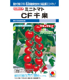 CF千果 1000粒 大袋 営利用 タキイ 種 苗 野菜 タネ プロ向け 家庭菜園 農家 セレクト たね