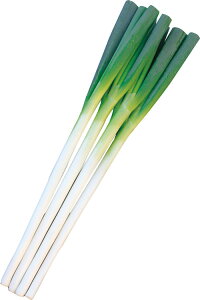 lM  n̋ yR[g5000z gL^c cp v   K  ˂ {lM ^l lM  ƒ؉ _ ZNg  ؎q v^[ ؎ ܂ R͔|