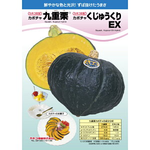 J{` dI イEX 10   cp JlR  c  ^l v ƒ؉ _ ZNg 