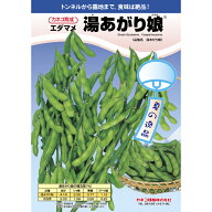 【メーカー正規品】枝豆 湯あがり娘 2000粒 大袋 営利用 カネコ 種 苗 野菜 タネ プロ向け 家庭菜園 農家…