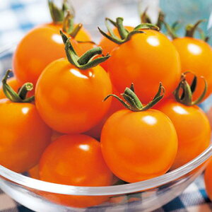 ~jg}g IW y16z DF ^LC c  ^l v ƒ؉ _ ZNg  g}g   g}g̎ Â i ؎  ؉ ƒ؉g}g R͔|  