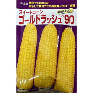 �X�C�[�g�R�[�� �� �S�[���h���b�V�� 90 �y200���z �T�J�^�̎� �c���p �^�l ���� ���F �g�E�����R�V �� ��� �ƒ�؉� �v������ ��� ���� �_�� �Z���N�g �� ��܂� �������� �Ƃ����낱�� �Â�