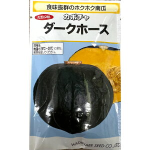 J{`  _[Nz[X ڂ nӍ̎ Z ƒ؉  cp v