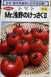 Mr.̂2 ʃg}g  100 cp nӍ̎ SҌ   v ƒ؉ _ ZNg 