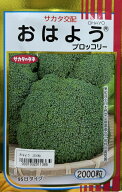 ブロッコリー 種 おはよう 【2000粒】 大袋 営利用 サカタ の タネ 野菜 プロ向け 家庭菜園 農家 セレク…