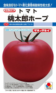 g}g Yz[v 1000  cp ^LC  c  ^l v ƒ؉ _ ZNg 