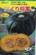 カボチャ 種 くり将軍 【100粒】 大袋 トキタ種苗 野菜 プロ向け 家庭菜園 農家 セレクト たね 畑 かぼち…