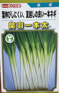 ネギ 関羽一本太 【コート5000粒】 トーホク 営利用 プロ向け 大袋 畑 葱 種 ねぎ 一本ネギ タネ 長ネギ …