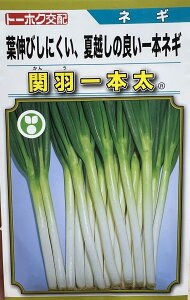 lM ։H{ R[g5000 g[zNc cp v 